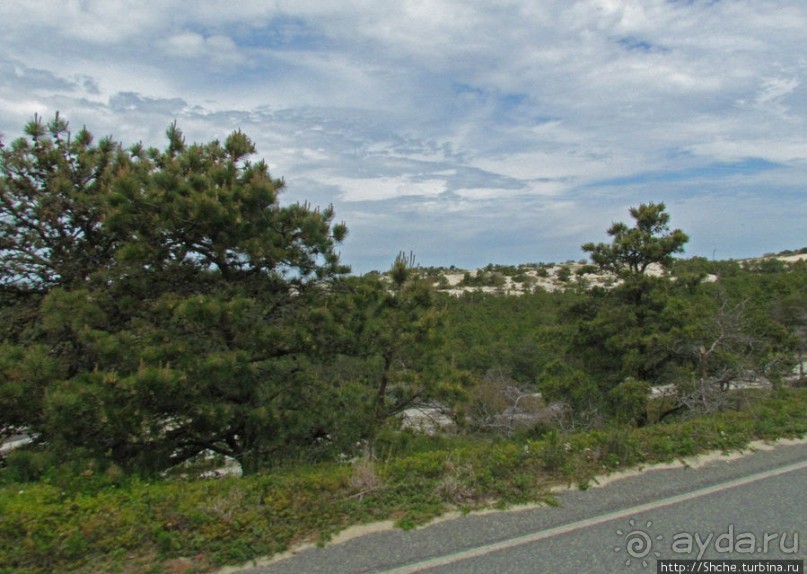 Долгая дорога к дюнам