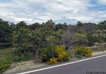 Долгая дорога к дюнам