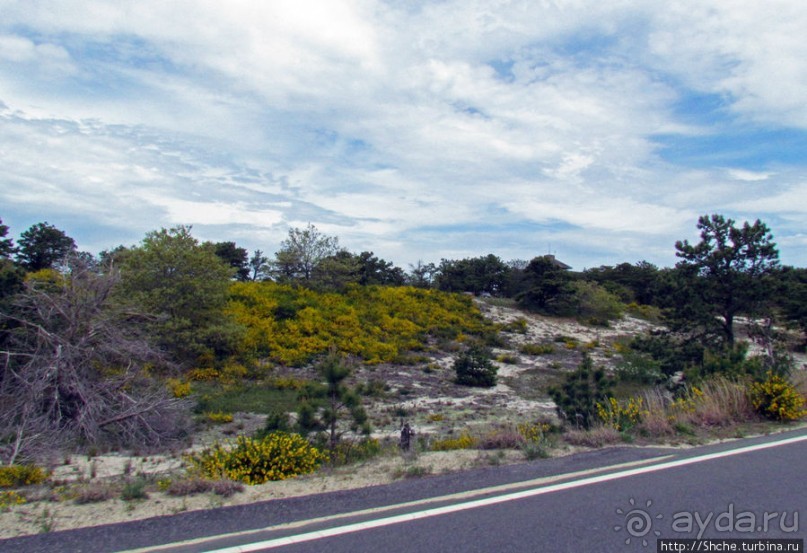 Долгая дорога к дюнам