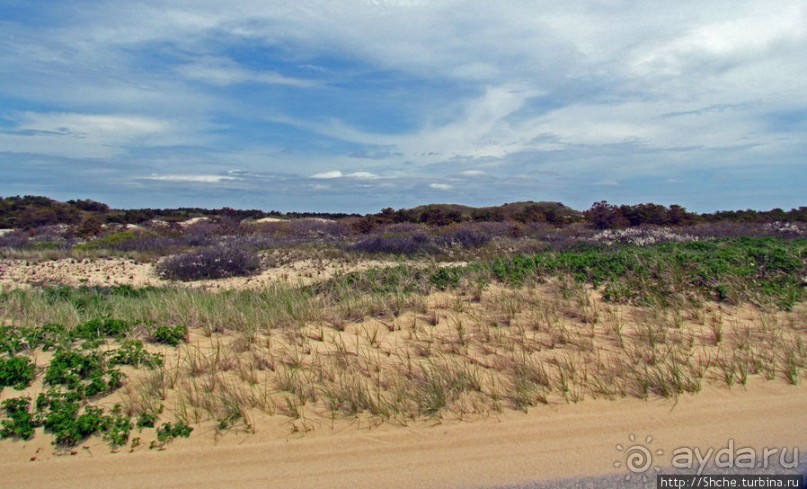 Долгая дорога к дюнам