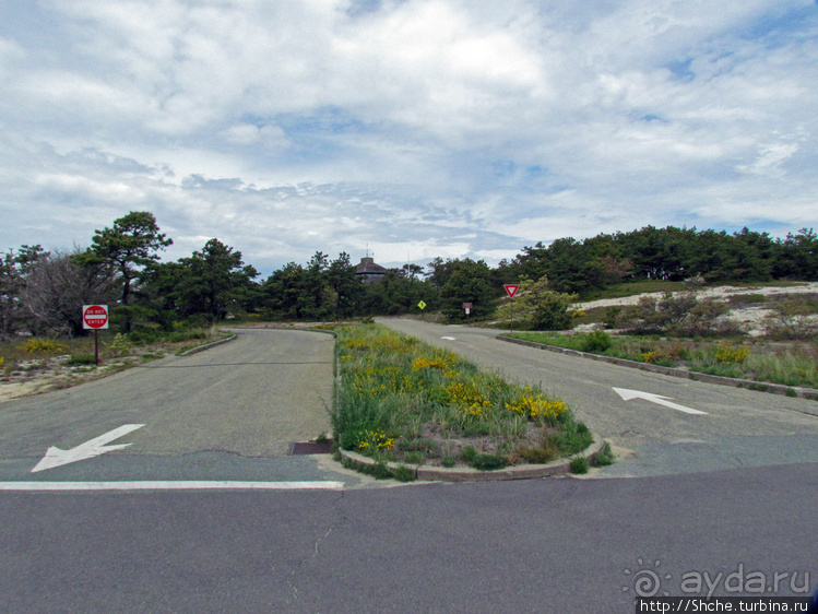 Долгая дорога к дюнам