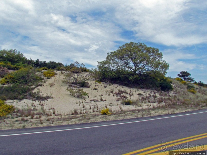 Долгая дорога к дюнам