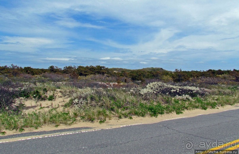 Долгая дорога к дюнам