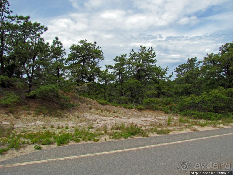 Долгая дорога к дюнам