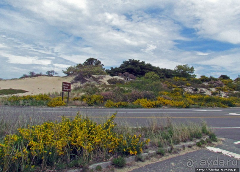 Долгая дорога к дюнам