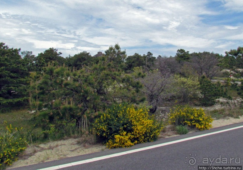 Долгая дорога к дюнам