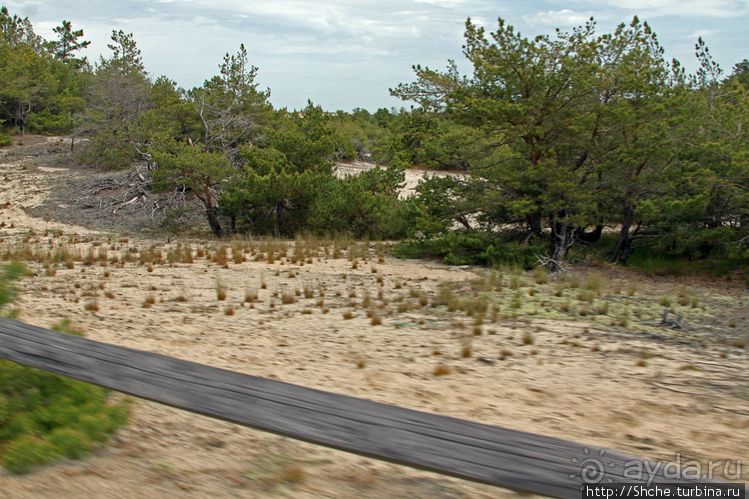 Долгая дорога к дюнам