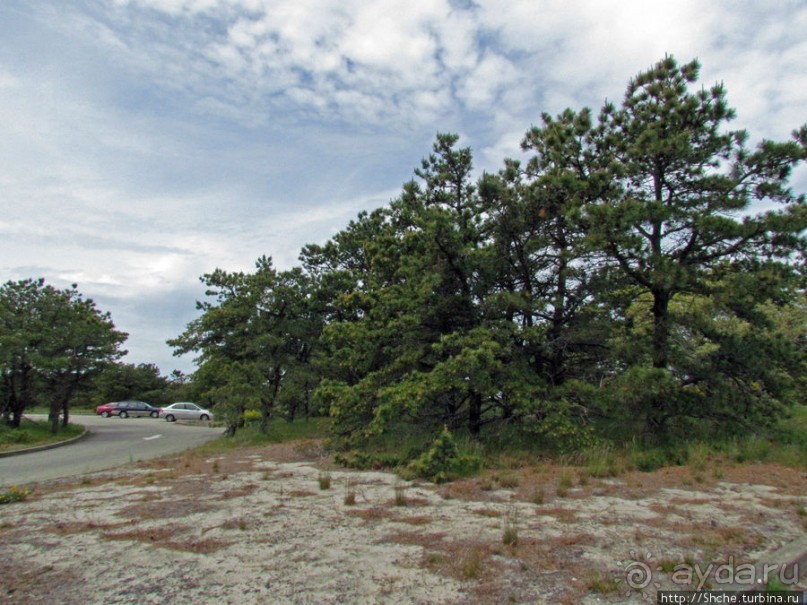 Долгая дорога к дюнам