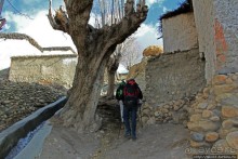 Маранг — еще один центр "цивилизации" Мустанга