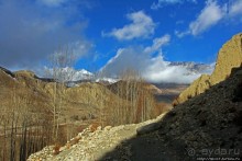 Маранг — еще один центр "цивилизации" Мустанга