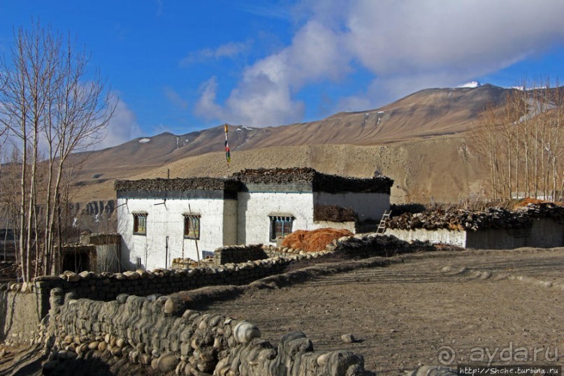 Маранг — еще один центр "цивилизации" Мустанга