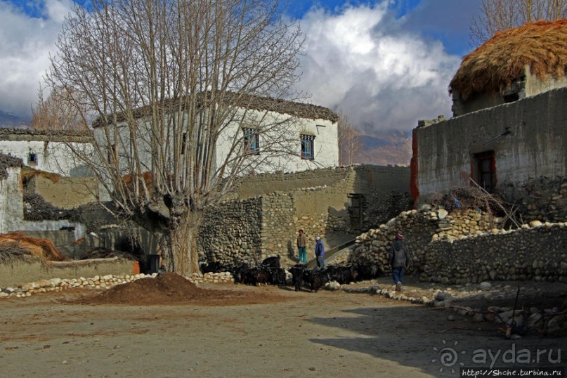 Маранг — еще один центр "цивилизации" Мустанга