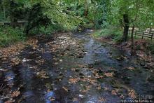 Река Аггитис ... появляется из-под горы... сразу... вся