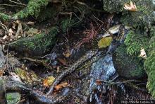 Река Аггитис ... появляется из-под горы... сразу... вся