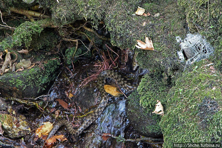 Река Аггитис ... появляется из-под горы... сразу... вся