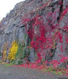 Крепость-парк Акерсхус, осенняя пьеса
