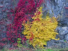 Крепость-парк Акерсхус, осенняя пьеса
