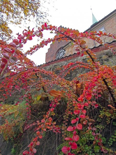 Крепость-парк Акерсхус, осенняя пьеса