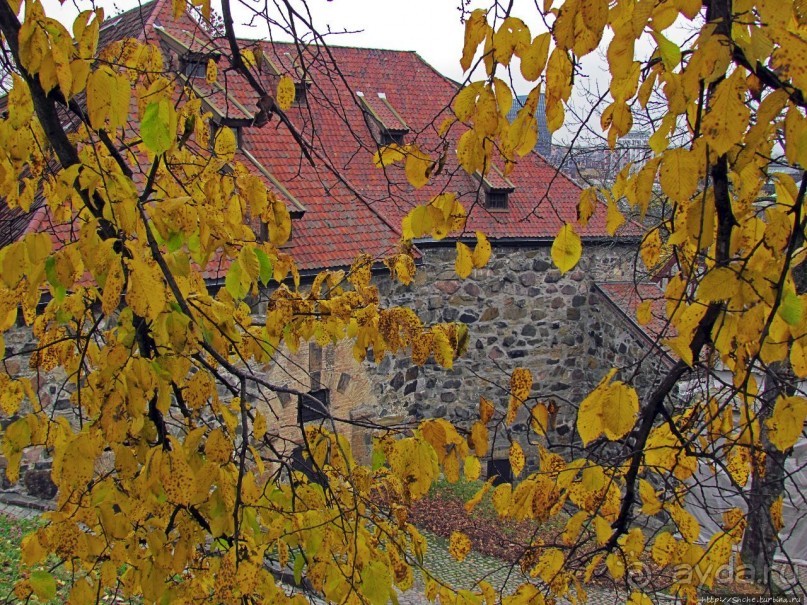 Крепость-парк Акерсхус, осенняя пьеса