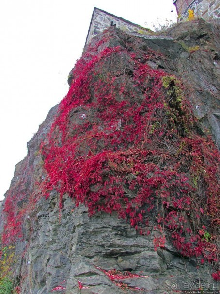 Крепость-парк Акерсхус, осенняя пьеса