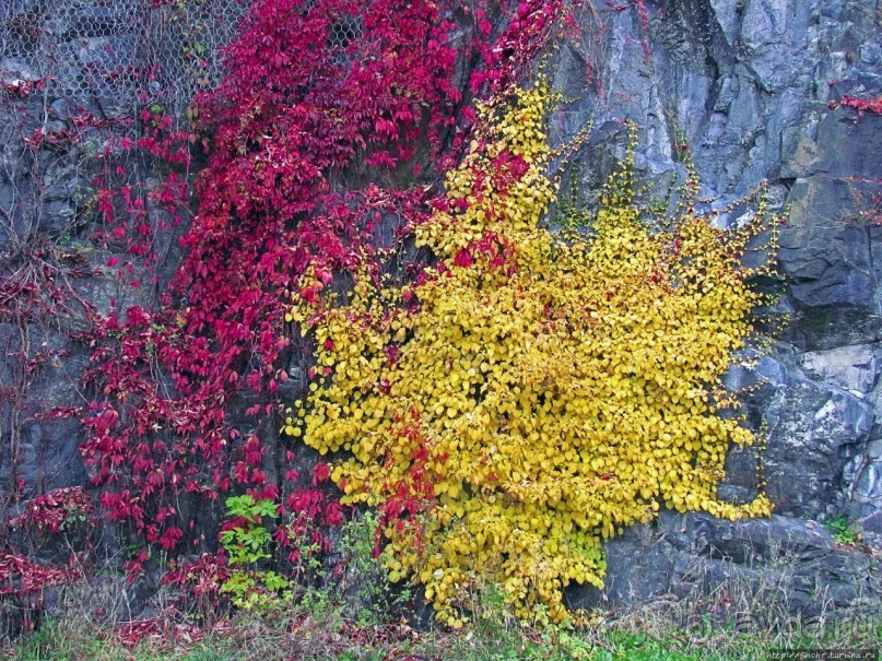 Крепость-парк Акерсхус, осенняя пьеса