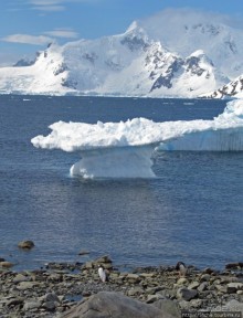 Антарктида — посмотреть или посетить