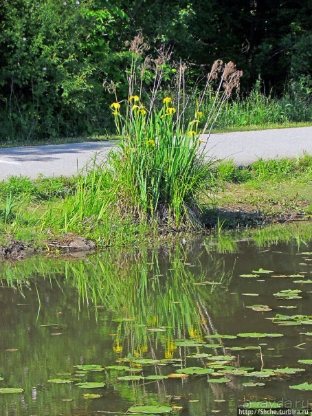 Озеро в парке North Chagrin Reservation под Кливлендом