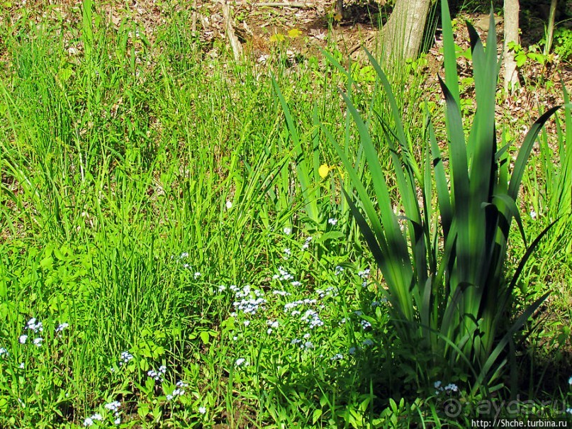 Озеро в парке North Chagrin Reservation под Кливлендом