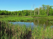 Озеро в парке North Chagrin Reservation под Кливлендом