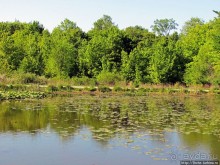 Озеро в парке North Chagrin Reservation под Кливлендом