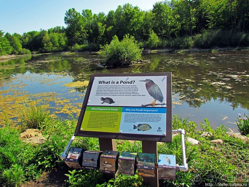 Озеро в парке North Chagrin Reservation под Кливлендом