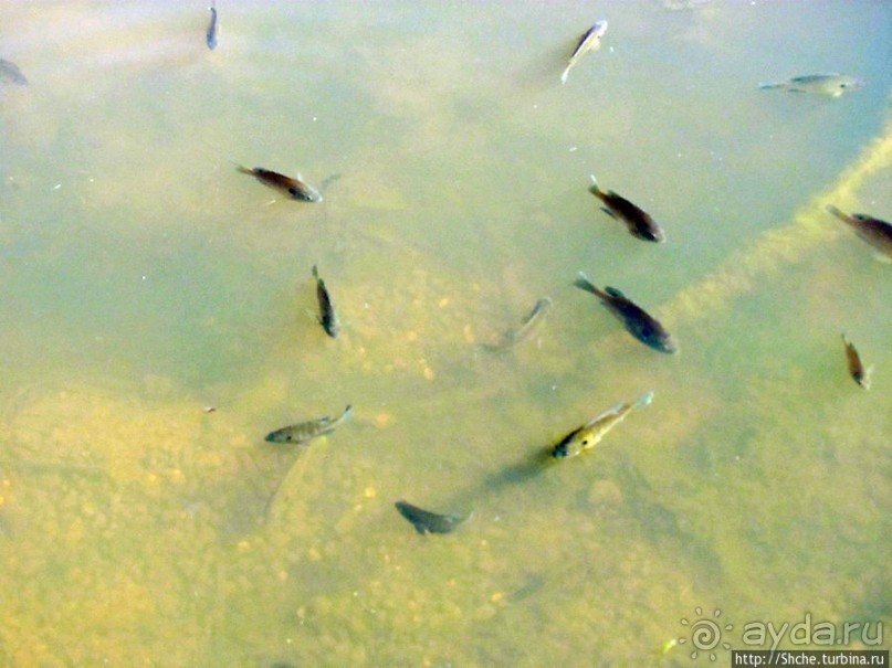 Озеро в парке North Chagrin Reservation под Кливлендом