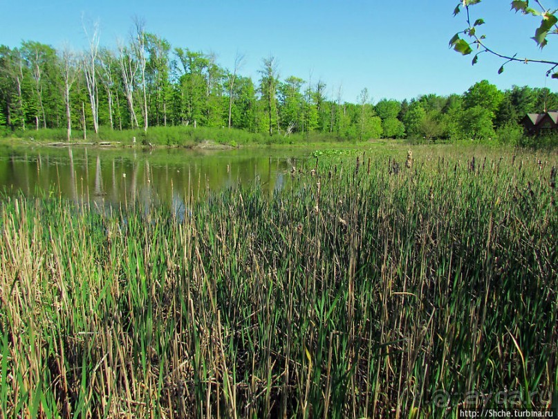 Озеро в парке North Chagrin Reservation под Кливлендом