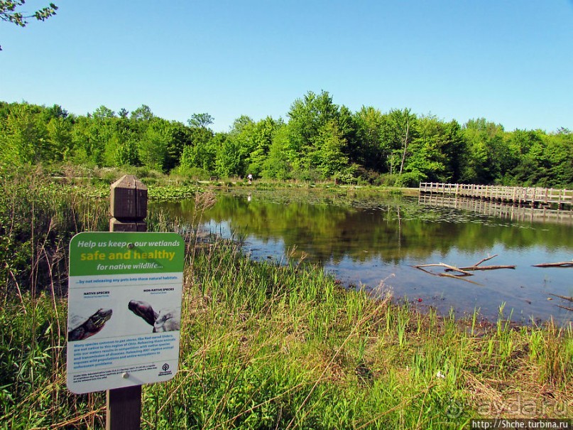 Озеро в парке North Chagrin Reservation под Кливлендом