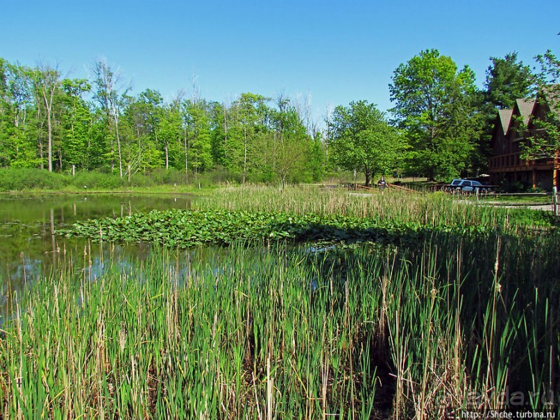 Озеро в парке North Chagrin Reservation под Кливлендом