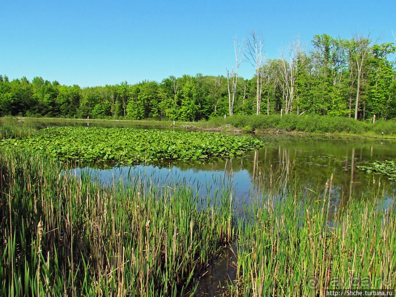 Озеро в парке North Chagrin Reservation под Кливлендом