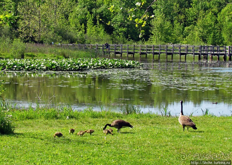 Озеро в парке North Chagrin Reservation под Кливлендом