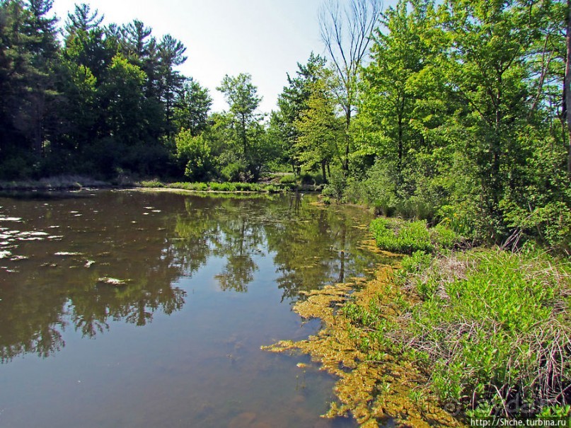 Озеро в парке North Chagrin Reservation под Кливлендом