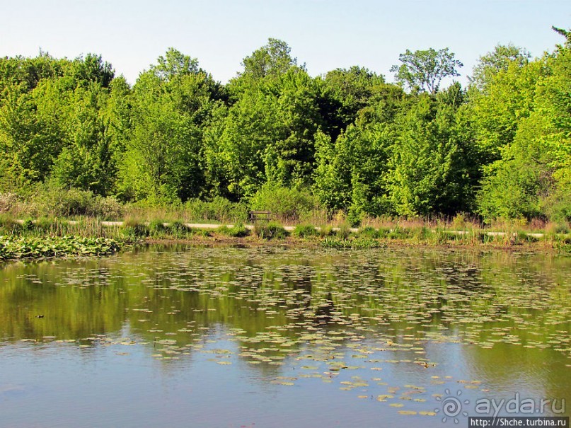 Озеро в парке North Chagrin Reservation под Кливлендом