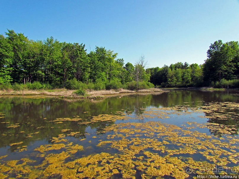 Озеро в парке North Chagrin Reservation под Кливлендом