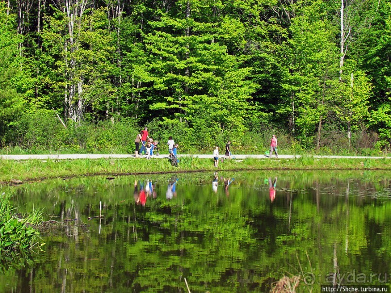 Озеро в парке North Chagrin Reservation под Кливлендом