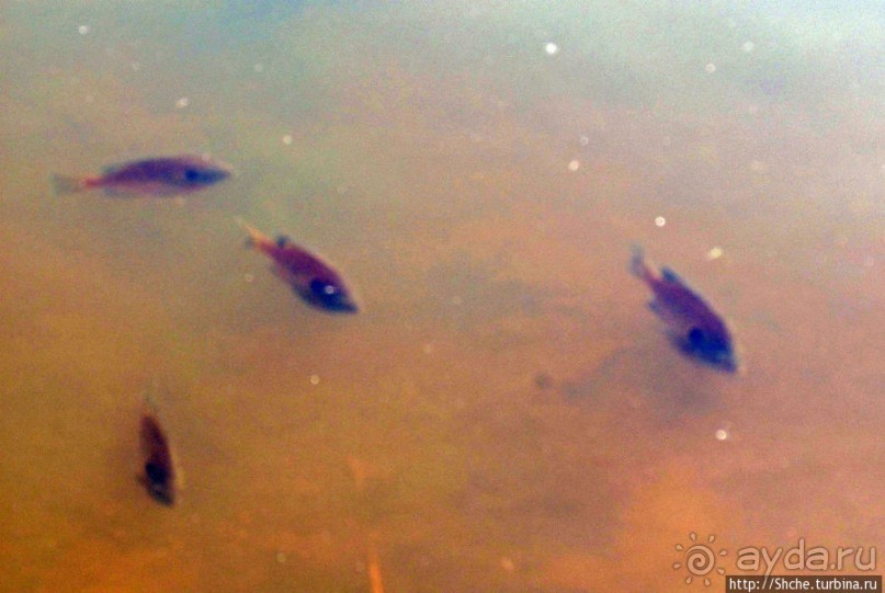 Озеро в парке North Chagrin Reservation под Кливлендом