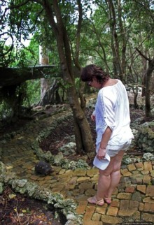 Заповедник дикой природы — барбадосский вариант