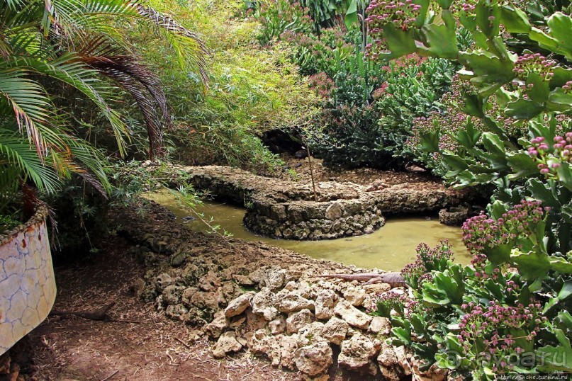 Заповедник дикой природы — барбадосский вариант