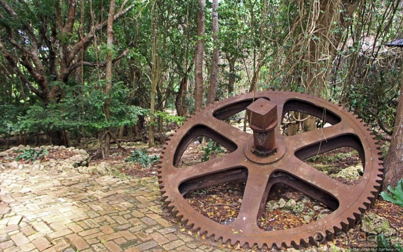 Заповедник дикой природы — барбадосский вариант