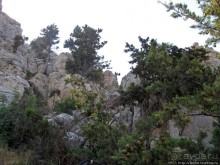 Замок Святого Иллариона- самая сохранившаяся крепость Кипра