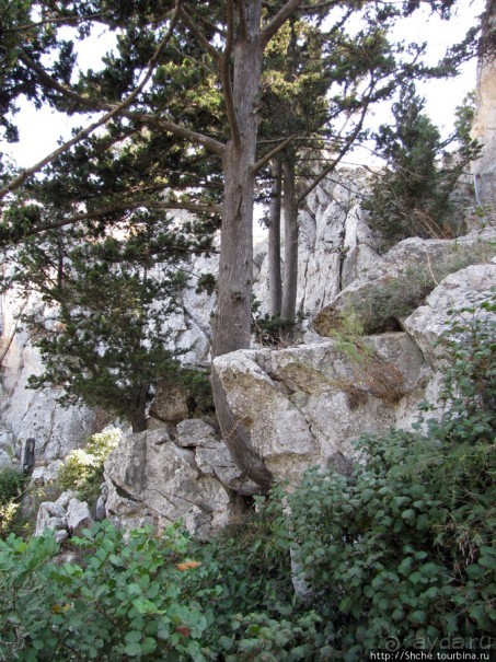 Замок Святого Иллариона- самая сохранившаяся крепость Кипра