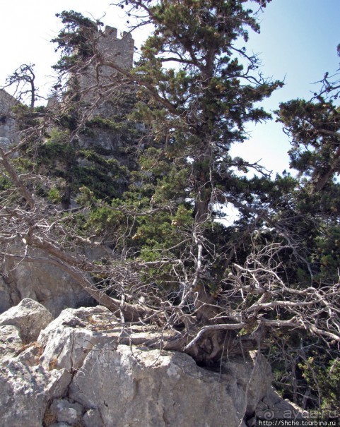 Замок Святого Иллариона- самая сохранившаяся крепость Кипра