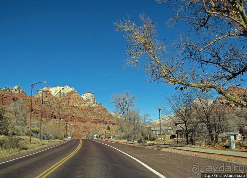 Альбом отзыва "Спрингдэйл — ворота в национальный парк Зион"