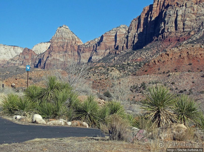 Альбом отзыва "Спрингдэйл — ворота в национальный парк Зион"